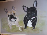 /album/galerie-photos/photo-804-jpg/